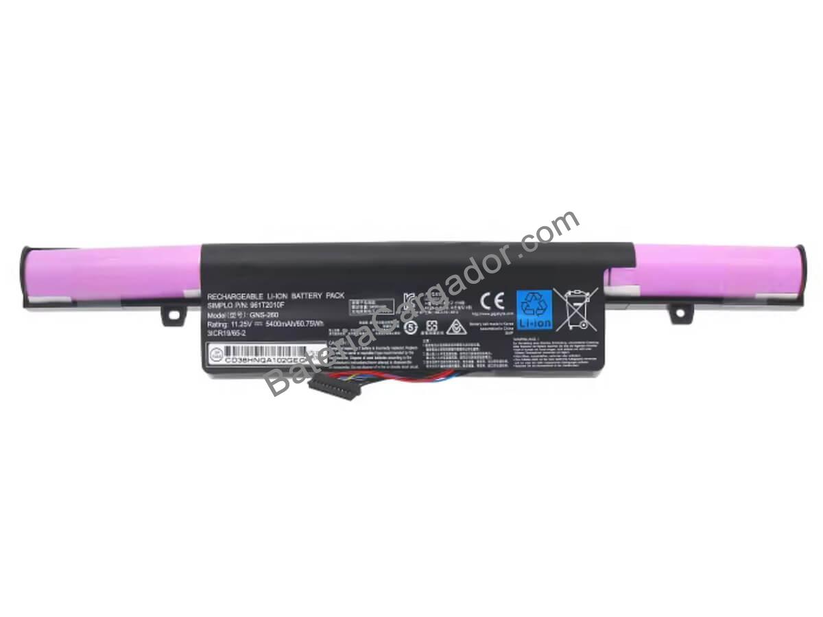 P55W V4-CF1
