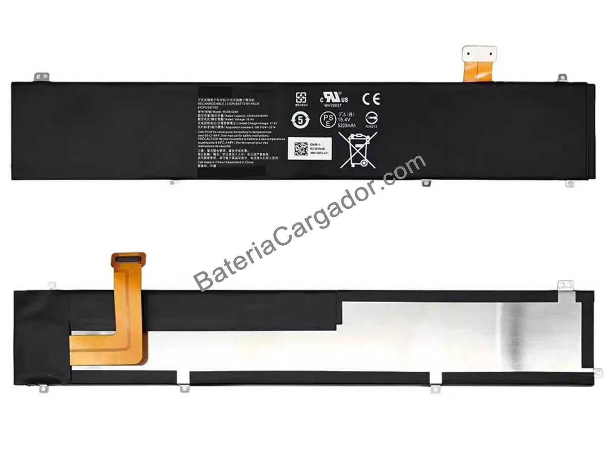 RZ09-0313x