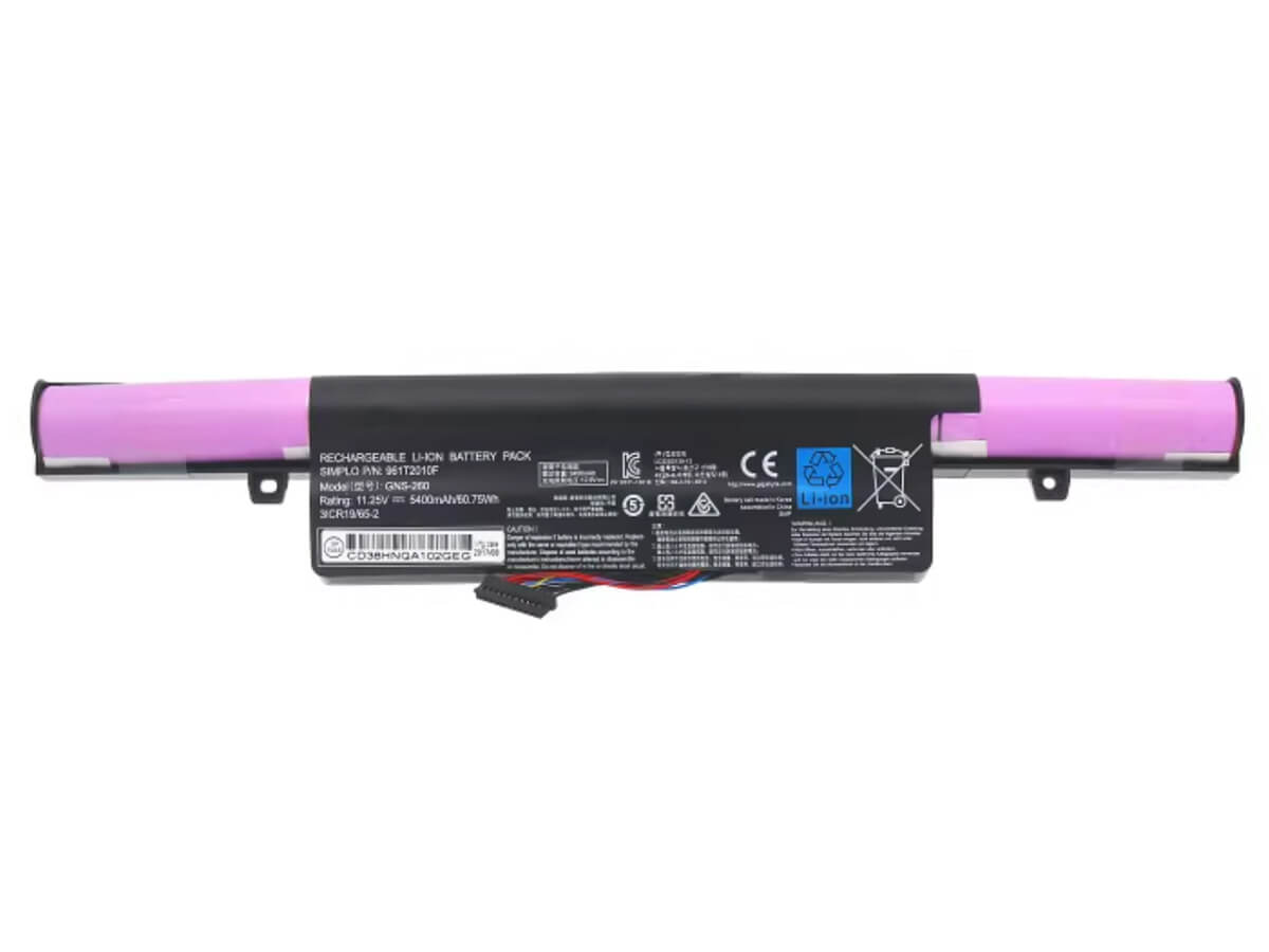 kompatibel mit GIGABYTE 961T2010F