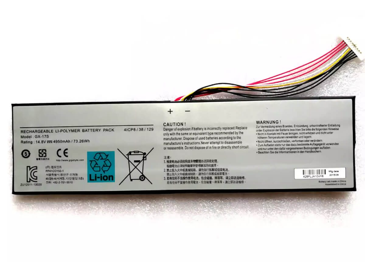 kompatibel mit GIGABYTE AORUS X5S