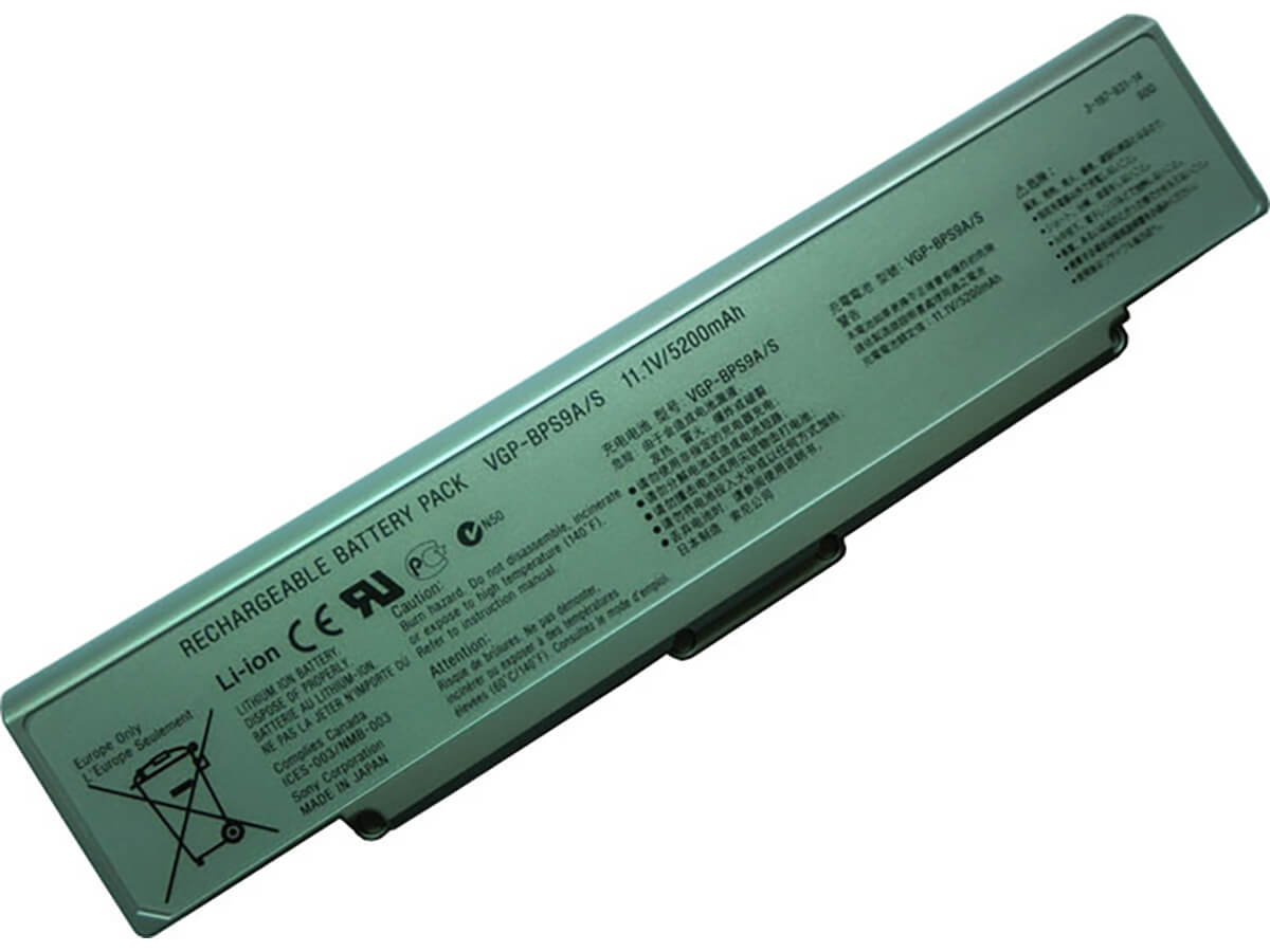 kompatibel mit SONY VGP-BPL9