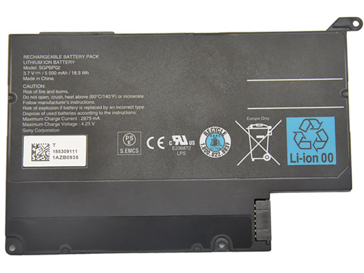 kompatibel mit SONY SGPT112CN/S