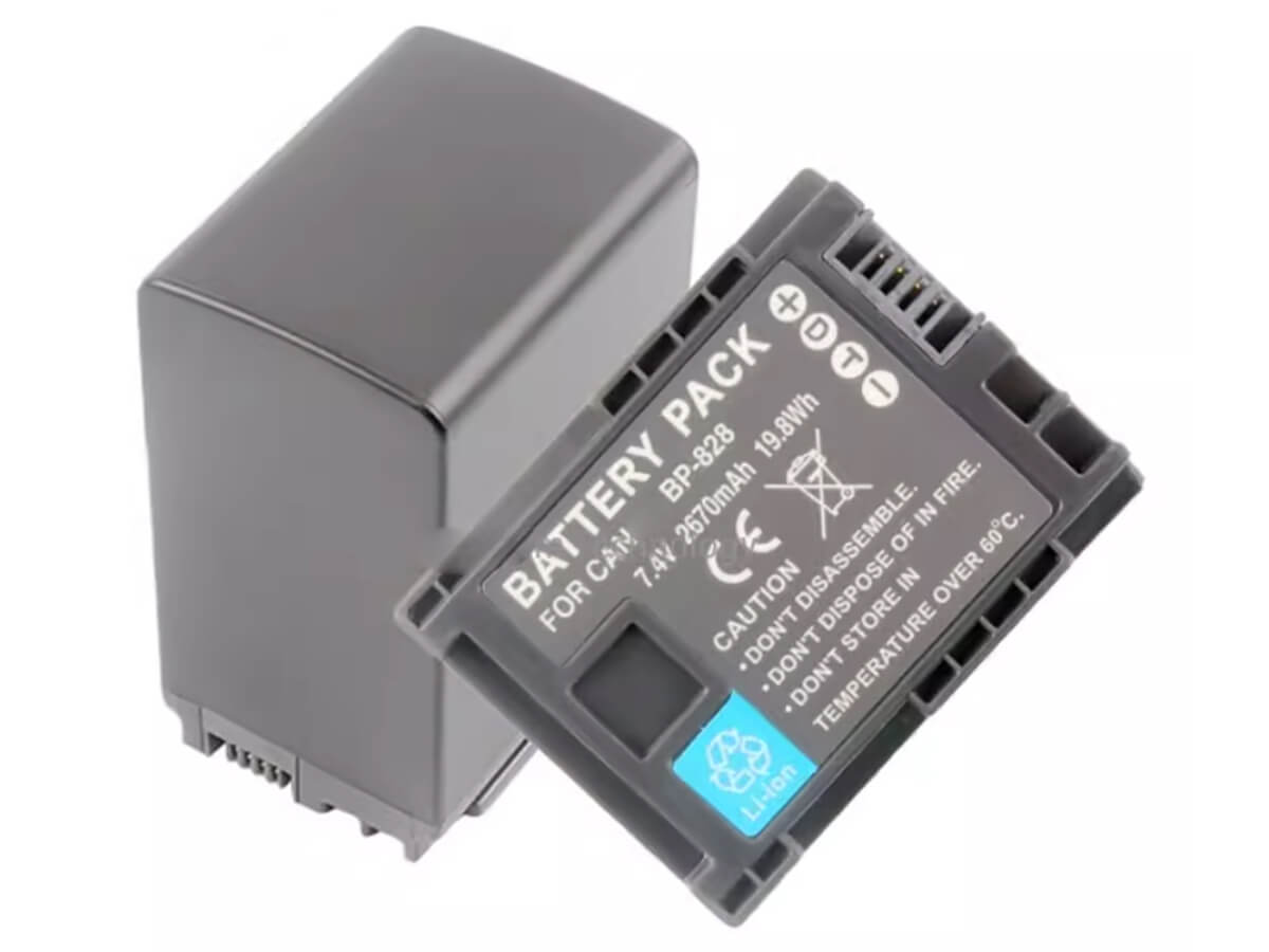 kompatibel mit CANON BP-820